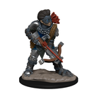 RPG Miniatures - Wizkids Wardlings (prepainted)