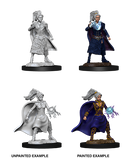 RPG Miniatures - D&D Nolzur's Marvelous Miniatures Human (Unpainted)