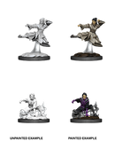 RPG Miniatures - D&D Nolzur's Marvelous Miniatures Human (Unpainted)