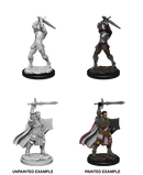 RPG Miniatures - D&D Nolzur's Marvelous Miniatures Human (Unpainted)