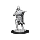 RPG Miniatures - Deep Cuts Pathfinder Battles Human (Unpainted)
