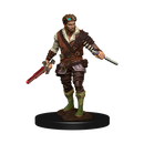 RPG Miniatures - Wizkids D&D Icons of the Realms (prepainted)