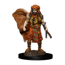 RPG Miniatures - Wizkids D&D Icons of the Realms (prepainted)