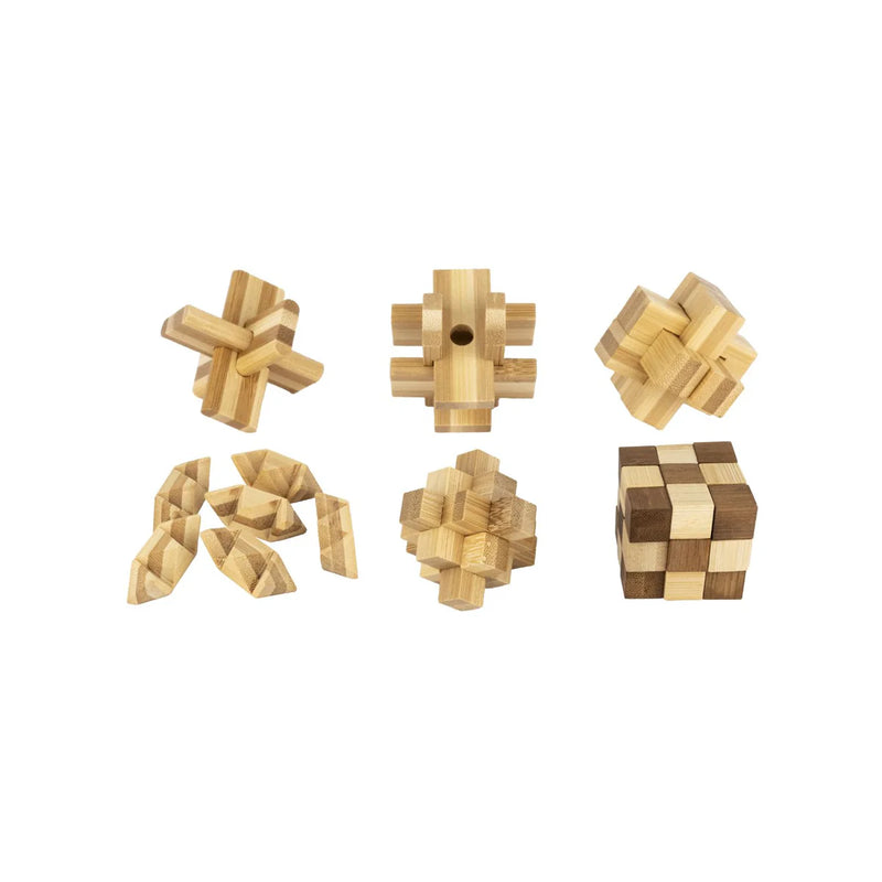 Project Genius - Ecological Brainteasers - 6 pack
