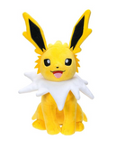 Pokemon Plush (20cm)