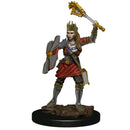 RPG Miniatures - Wizkids D&D Icons of the Realms (prepainted)