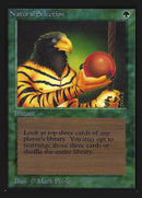 Natural Selection [International Collectors’ Edition]