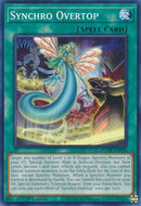 Synchro Overtop [DUNE-EN050] Common