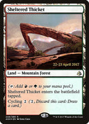 Sheltered Thicket  [Amonkhet Prerelease Promos]
