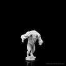 D&D Nolzur's Marvelous Miniatures (unpainted) Large - Monsters